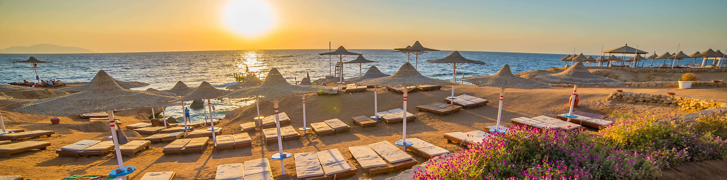 Beach resort at sunset with thatched umbrellas and lounge chairs